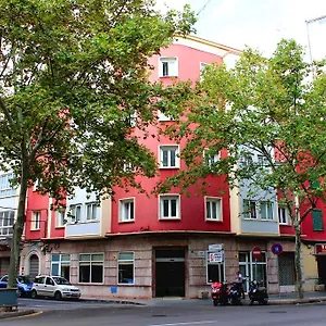 Amic Colon PMI